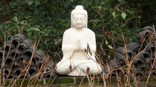 Photography statue of buddha