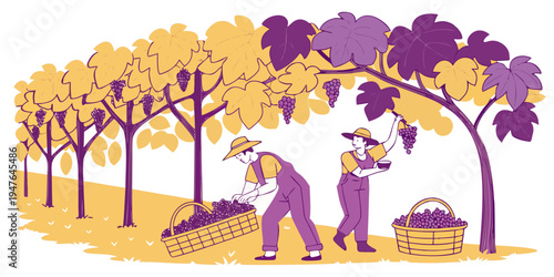 Two people picking apples from a tree in an orchard Vector
