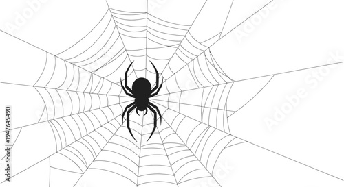 A black spider sits centered within a detailed radiating spiderweb