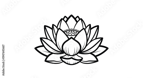 A detailed black and white illustration of a blooming lotus flower