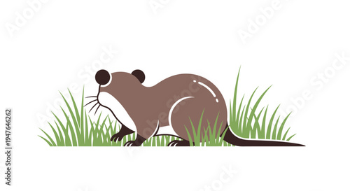 A stylized illustration of a mink foraging amongst green grass blades