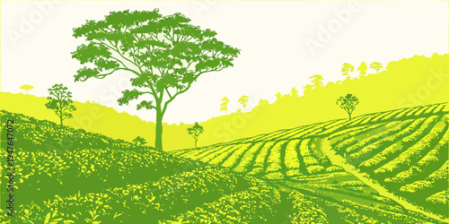 A tree on a hillside overlooking a field Vector