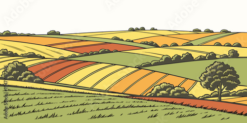 A colorful illustration of a countryside landscape with fields and trees Vector