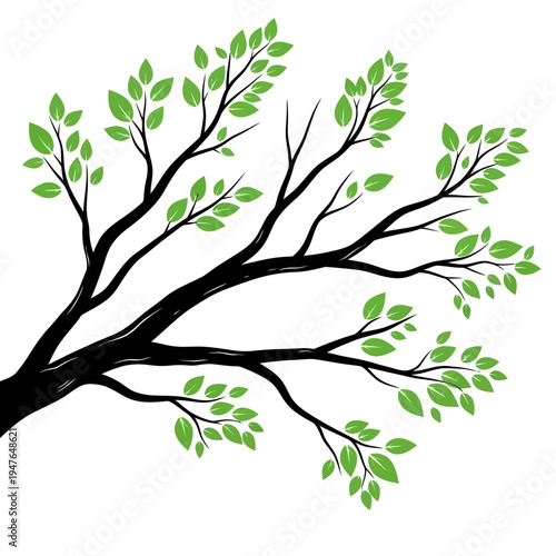 A black tree branch with green leaves on a white background.