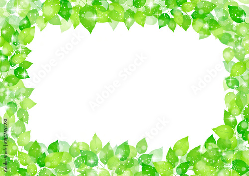 フレッシュな新緑フレーム　背景