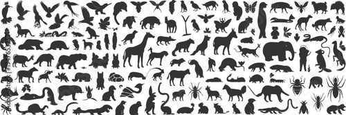 Extensive Collection of Animal Silhouettes wildlife nature