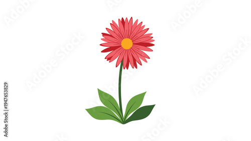 Vibrant red gerbera daisy flower with a yellow center standing tall on a green stem with healthy leaves at the base.