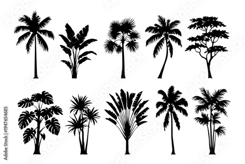Black silhouettes of tropical trees and plants set isolated on light background, palm, banana, monstera and exotic botanical collection for jungle, summer and nature design.