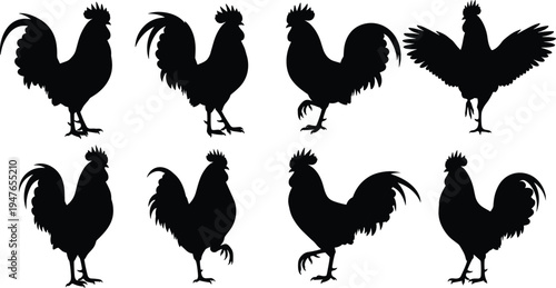 Rooster silhouette collection vector set with standing crowing and wing spread chicken farm bird icons isolated black illustration