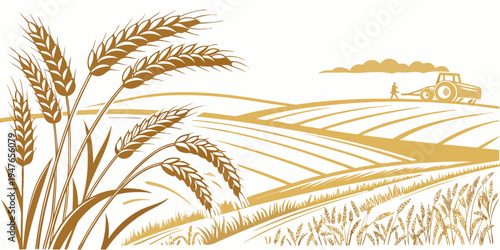 A golden wheat field with a farm in the distance Vector