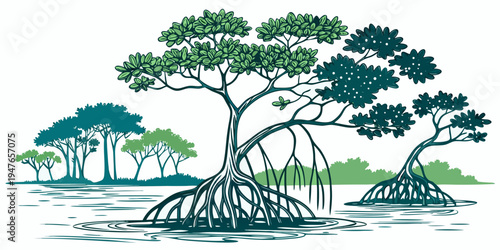 Mangrove trees in a swampy environment Vector