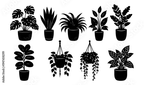 Black silhouettes of potted houseplants set with tropical, leafy and hanging indoor plants isolated on light background. Botanical collection for decor, clipart and design.