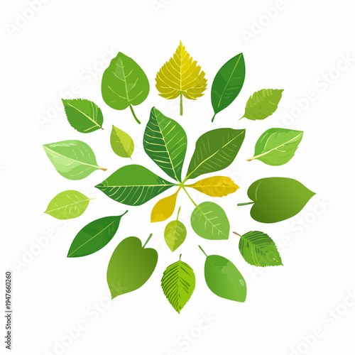 A vibrant circular arrangement of diverse green leaves, showcasing various shapes and sizes in a beautiful natural pattern