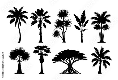 Black silhouettes of tropical trees set isolated on light background, palm, banana and exotic tree collection for botanical, jungle and summer design.