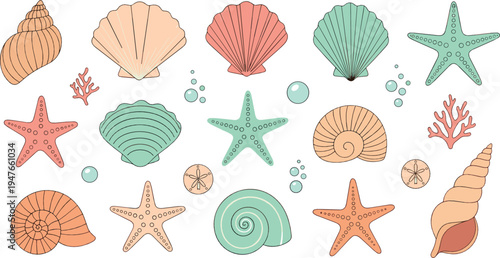 Hand Drawn Seashell and Starfish Vector Collection with Ocean Shells Coral Marine Elements for Summer Beach Sea Life Illustration Set