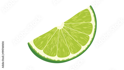 Single slice of fresh green lime showing detailed juicy segments and white pith against a clean white background for food design.