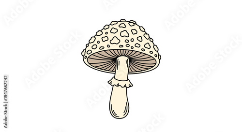 Illustration of a single wild mushroom with a spotted cream cap and textured stem isolated on a plain white background for biology.