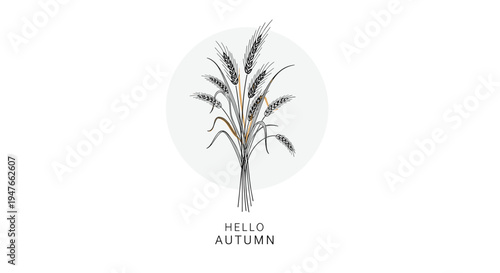 Hand drawn wheat stalks bundle arranged in a circular frame with hello autumn text for seasonal greeting and harvest celebration designs.