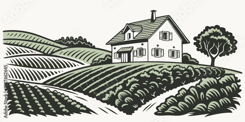A white house on a hill surrounded by vineyards and trees Vector
