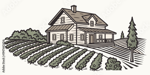 A large house with a vineyard in the foreground Vector