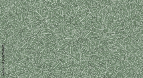 Intricate pattern of overlapping green leaves with detailed white veins creates a lush and dense botanical texture for natural backgrounds.