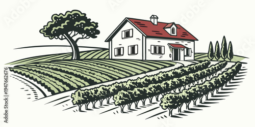 A white house with a red roof and a vineyard Vector