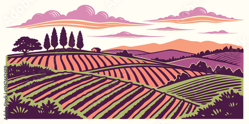 A colorful illustration of a vineyard at sunset Vector