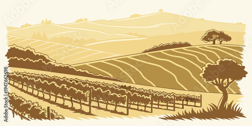 A sepia photo of a vineyard with rows of grapevines Vector