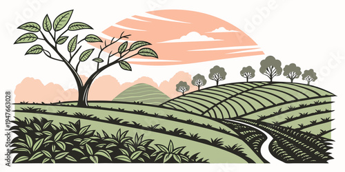A serene landscape of rolling hills and tea plantations at sunset Vector