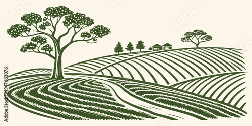 Vineyard with trees on a hillside Vector