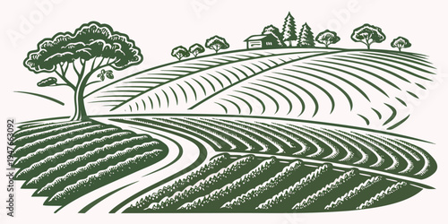 A green illustration of a vineyard with a tree Vector
