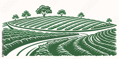 A green landscape with trees on a hill and rows of crops Vector