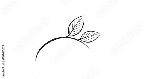 Minimalist line art drawing of a single curved branch with two detailed leaves representing nature growth and organic simplicity.