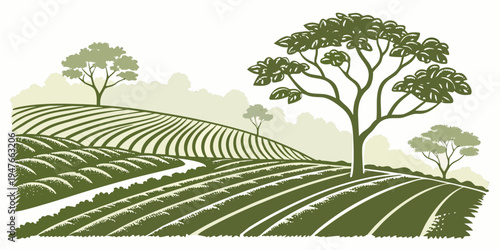 A green landscape with rows of crops and trees Vector