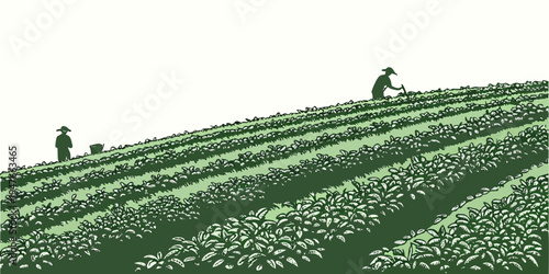 A man working in a field with rows of crops Vector