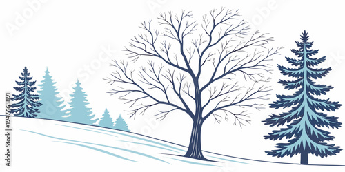 A winter landscape with a bare tree and pine trees Vector