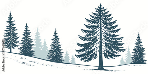 A group of pine trees on a snowy hill Vector
