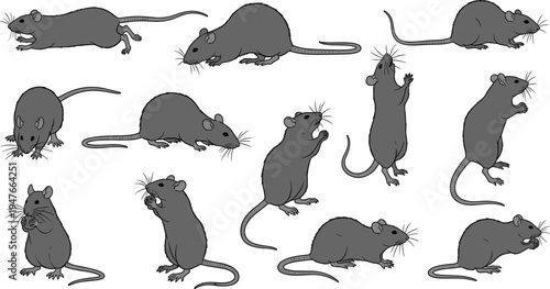 Collection of twelve cartoon rat character illustrations in various poses and whimsical expressions for animal vector design projects