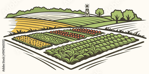 A garden with different crops growing in separate sections Vector