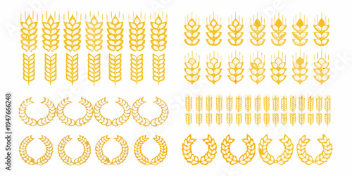 Golden wheat stalks wreaths and decorative elements arranged on white background