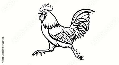A detailed black and white illustration of a rooster walking with its chest puffed out and its head held high, capturing its proud stance and majestic appearance