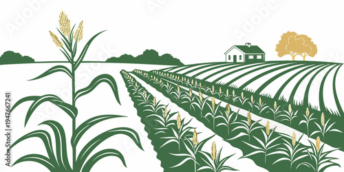 A green cornfield with a house and tree in the background Vector