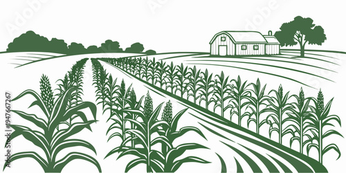 A green illustration of a cornfield with a farmhouse Vector