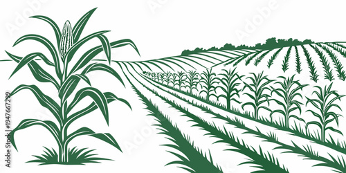 A green illustration of a corn field with rows of plants Vector