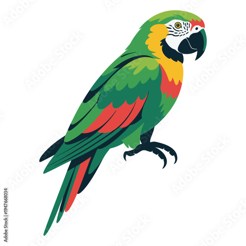 blue and yellow macaw