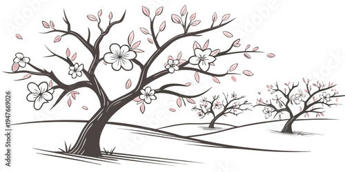 A tree with pink blossoms and several fallen petals Vector