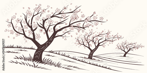 Cherry blossom trees on a snowy hill Vector