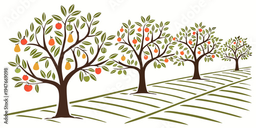 A row of fruit trees with apples and oranges in an orchard Vector