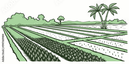 A green field with rows of crops and palm trees Vector