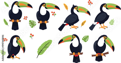 Toucan Vector Illustration Set Featuring Colorful Tropical Birds with Large Beaks in Perching and Standing Poses for Exotic Wildlife Graphics and Jungle Nature Designs.